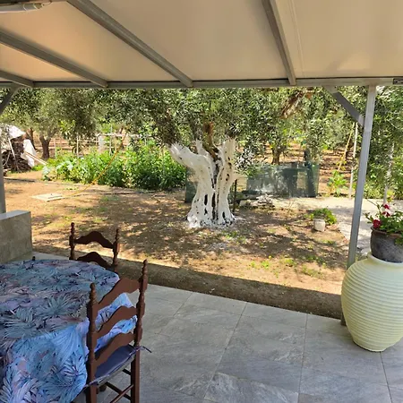 Garyfallia's House Korifasion